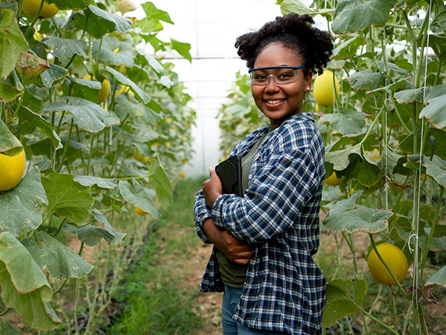 Scientist working in fruit field