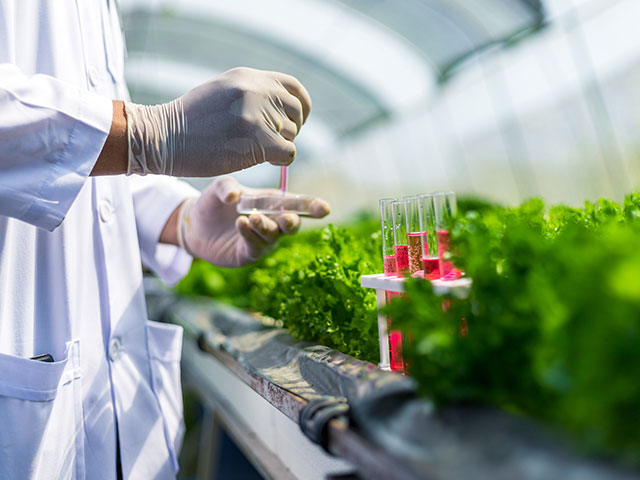 Scientist testing greenhouse samples