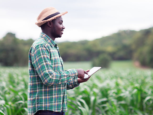 Scientist taking notes in field