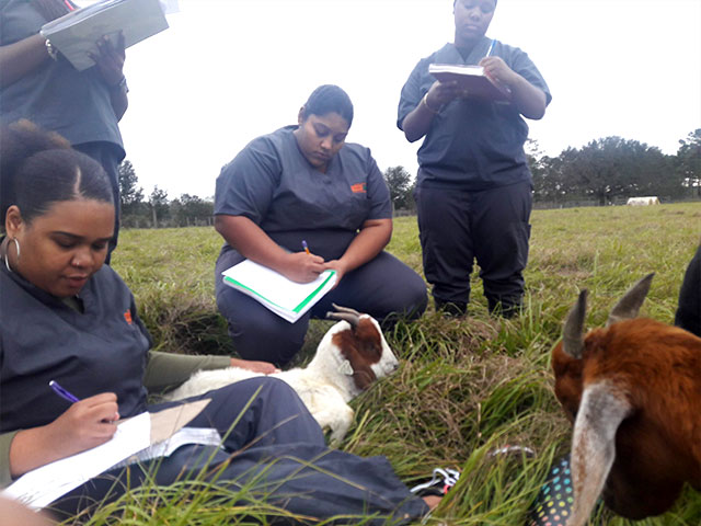 Vet techs in the field