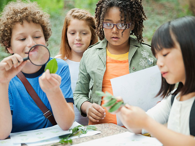 Young students learning about environment