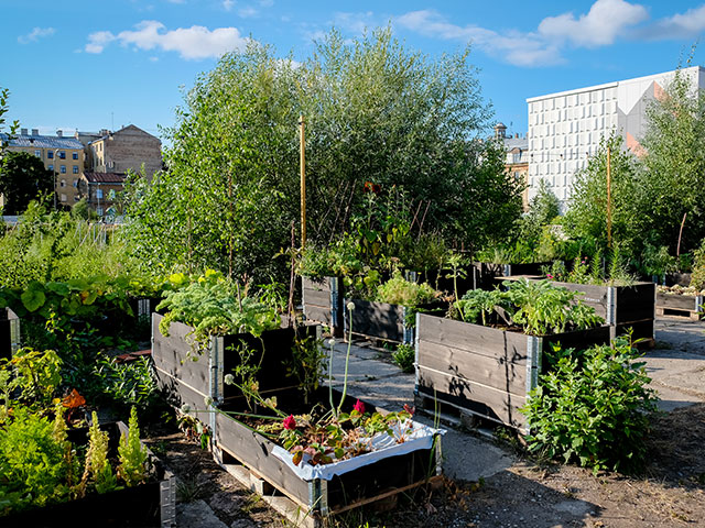 Urban Agriculture