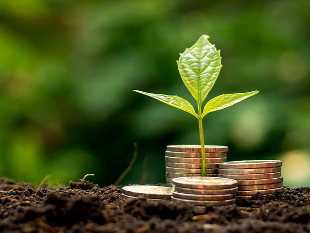 Stack of coins with plants